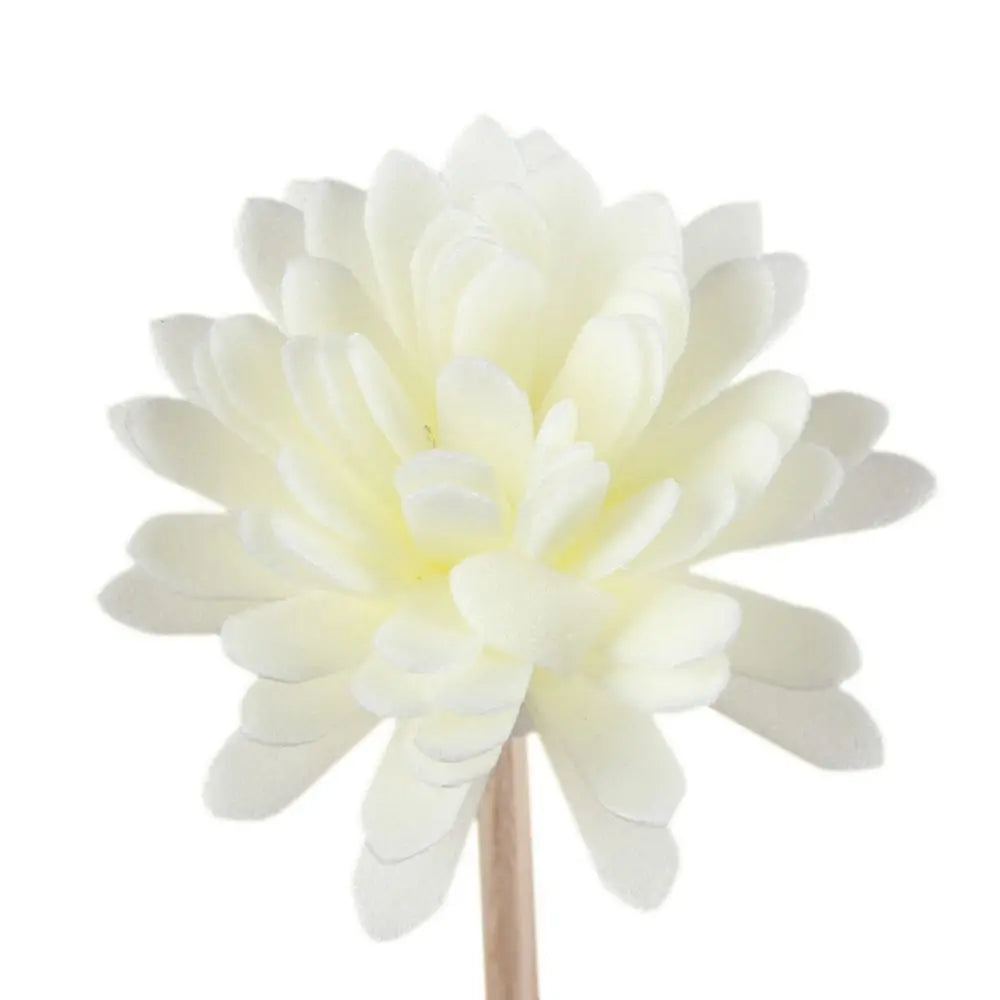 Aroma Dream Diffuser
