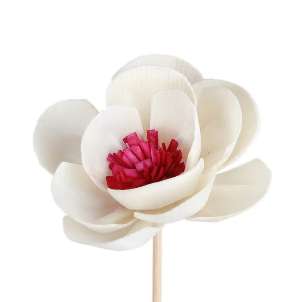 Aroma Dream Diffuser